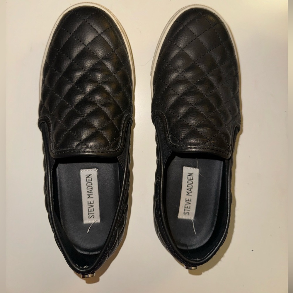 steve madden sneakers